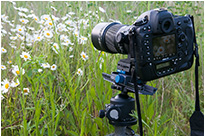 Kugelkopf X-52 von Sunway