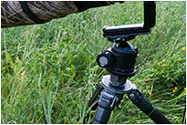 Kugelkopf X-52 von Sunway