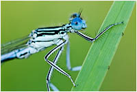 Neues aus der Welt des Kleinen