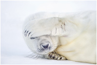 Reisebericht Südliches Afrika Teil II