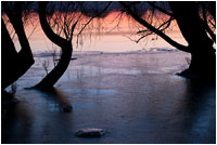 Platz 1 beim "GDT- Naturfotograf des Jahres 2011"