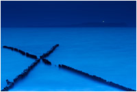 Platz 1 beim "GDT- Naturfotograf des Jahres 2011"