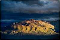 Platz 1 beim "GDT- Naturfotograf des Jahres 2011"