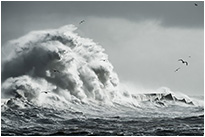 Kugelkopf X-52 von Sunwayfoto