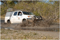 Piste im Moremi NP, Botswana