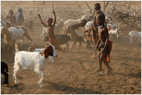 Himbatour mit Marius Steiner vom "Camp Aussicht", Namibia
