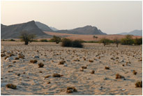 Marienflusstal, Kaokoveld [Namibia]