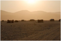 Puros im Sonnenaufgang, Kaokoveld [Namibia]