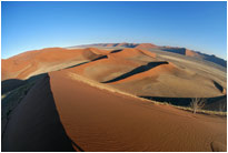 Ausblick auf die Düne 45, Sossusvlei [Namibia]