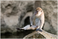 "Hab ich schöne Beine" - Khao Sok Np. / Thailand