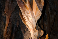 Tropfsteinhöhle im Kao Sok NP. / Thailand