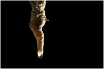Tropfsteinhöhle im Kao Sok NP. / Thailand