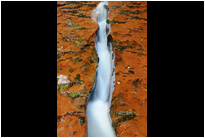 "The Crack" im Left Fork Creek | Zion NP. | Utah