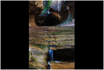 "The Subway" Left Fork Creek | Zion NP. | Utah