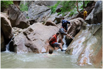 Orderville Canyon | Zion NP. | Utah