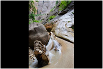Orderville Canyon | Zion NP. | Utah