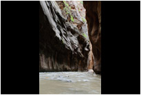 "The Narrows" | Zion NP. | Utah
