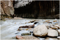 "The Narrows" | Zion NP. | Utah