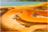 Unglaubliches Farbenspiel bei der Grand Prismatic Spring | Yellowstone N.P. | Wyoming