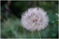 Auf einer Wanderung im Sinks Canyon State Park | Wyoming
