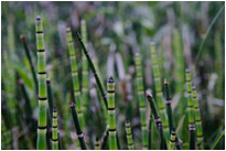 Auf einer Wanderung im Sinks Canyon State Park | Wyoming