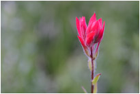 Auf einer Wanderung im Sinks Canyon State Park | Wyoming