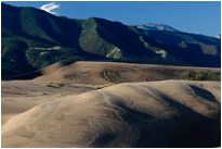 Goldgelbe Sanddünen vor schroffen, bewaldete Bergrücken | Great Sanddunes NP. | Colorado