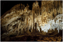 Carlsbad Cavern | New Mexico
