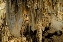 Carlsbad Cavern | New Mexico