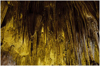 Carlsbad Cavern | New Mexico