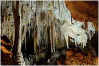 Carlsbad Cavern | New Mexico