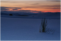 White Sands NM. | New Mexico