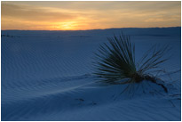 White Sands NM. | New Mexico