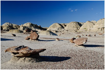 Hoodoos in der Ah-shi-sle-pah Wilderness Study Area | New Mexico