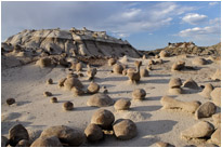 Murmelspiel in der Bisiti Wilderness | New Mexiko