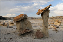 Hoodoomania in der Bisiti Wilderness | New Mexiko