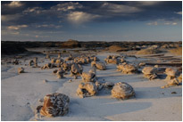 Cracked Eggs im schönsten Abendlicht | Bisti Wilderness | New Mexiko