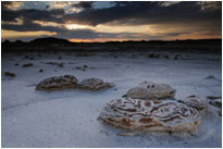 Cracked Eggs im schönsten Abendlicht | Bisti Wilderness | New Mexiko