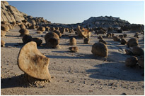 Unglaubliche Steinformationen in der Bisit Wilderness | New Mexiko