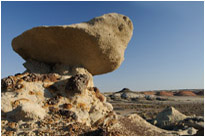 Bitte nicht anstoßen.... |  Bisit Wilderness | New Mexiko