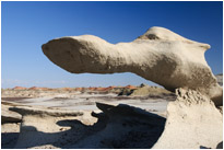 Big nose | Bisit Wilderness | New Mexiko