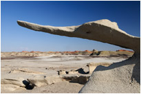 Wunder der Statik |  Bisit Wilderness | New Mexiko