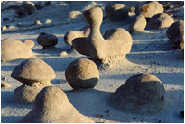 Unglaubliche Steinformationen in der Bisit Wilderness | New Mexiko