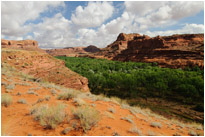Canyon des Escalante River | Utah