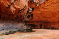 Gigaganitsche Höhle des "Golden Cathedrals" mit zwei riesigen Löchern in der Decke | Utah