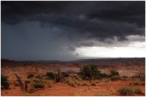 Als sich auf dem Rückweg dieses Gewitter zusammenbraute, war nur noch rennen angesagt - wir haben in allerletzter Minute noch trocken das Auto erreicht... | Utah