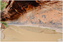 Coyote Creek nach Regenguss | Utah