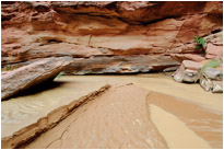 Trübes Wasser des Coyote Creek | Utah