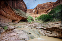 Mit klarem Wasser wäre alles noch viel schöner... | Utah