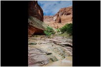 Bezaubernder kleiner Wasserfall in derCoyote Gulch | Utah